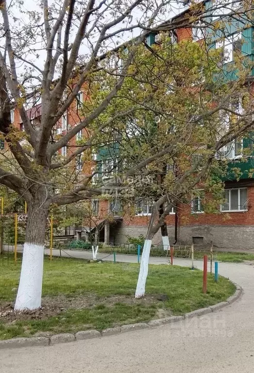 1-к кв. Адыгея, Майкоп ул. Свободы, 417Б (21.3 м) - Фото 1