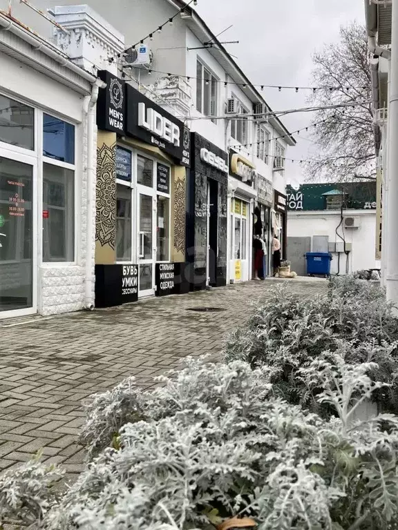 Помещение свободного назначения в Краснодарский край, Анапа ... - Фото 1