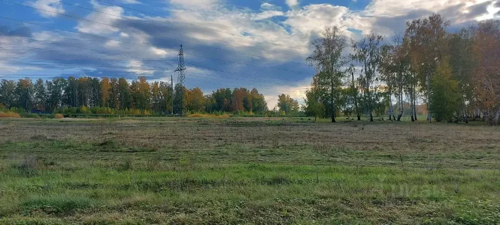 Участок в Челябинская область, Красноармейский район, Козыревское ... - Фото 1
