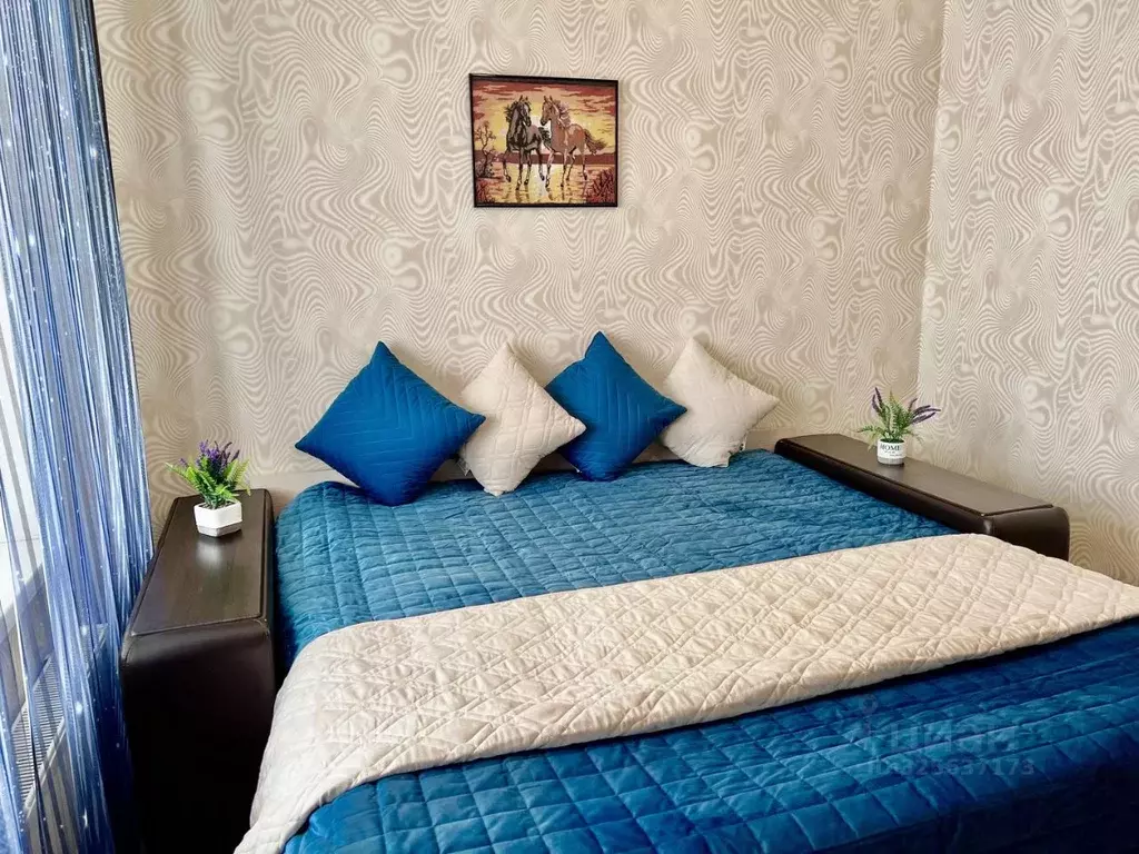 2-к кв. Новосибирская область, Новосибирск ул. Немировича-Данченко, ... - Фото 2