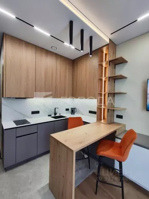 Студия Новосибирская область, Новосибирск ул. Семьи Шамшиных, 91 (26.0 ... - Фото 1