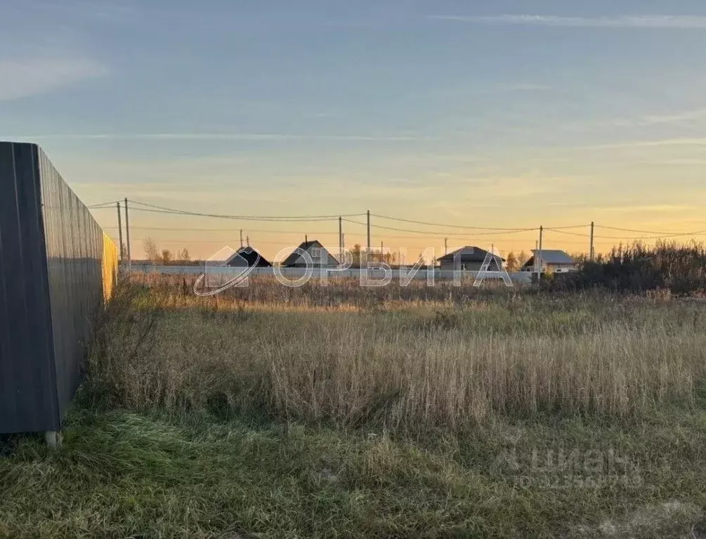 Участок в Тюменская область, Тюменский муниципальный округ, с. Чикча, ... - Фото 2