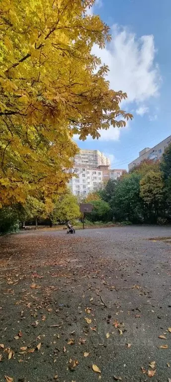 1-к кв. Ростовская область, Ростов-на-Дону просп. 40-летия Победы, 85 ... - Фото 1