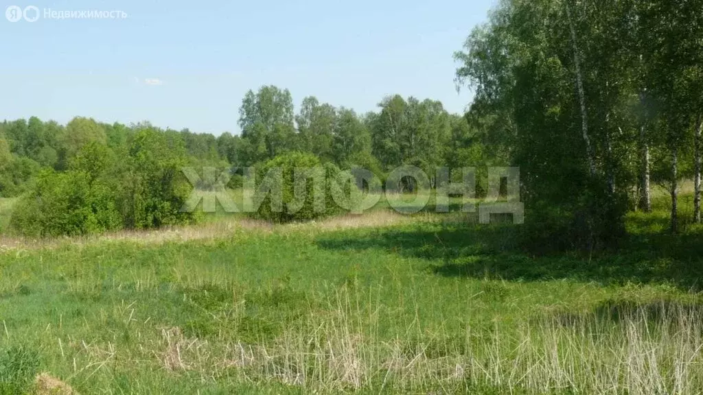 Участок в Барлакский сельсовет (62.42 м) - Фото 0