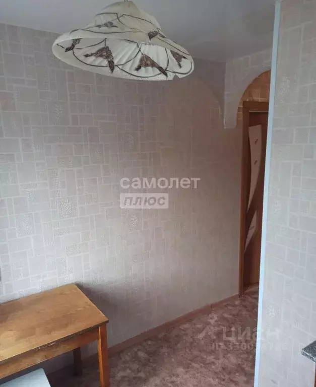1-к кв. Пензенская область, Пенза ул. Толстого, 38 (29.0 м) - Фото 2