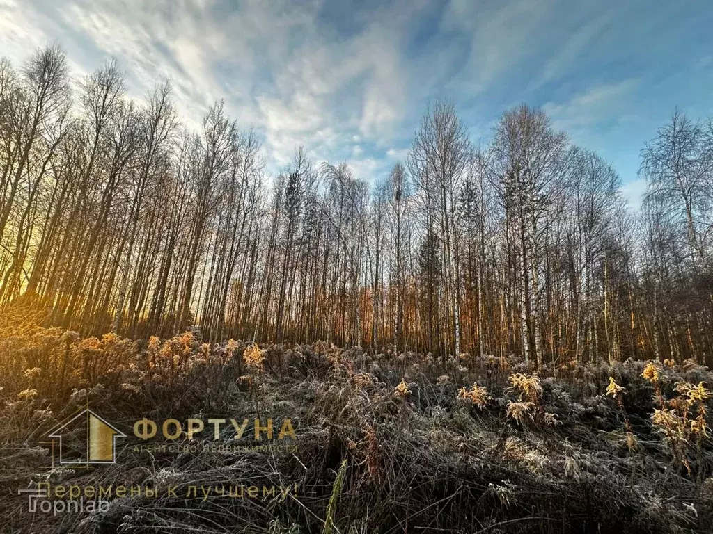Участок в Нижегородская область, Бор пос. Большое Пикино, ул. Западная ... - Фото 1
