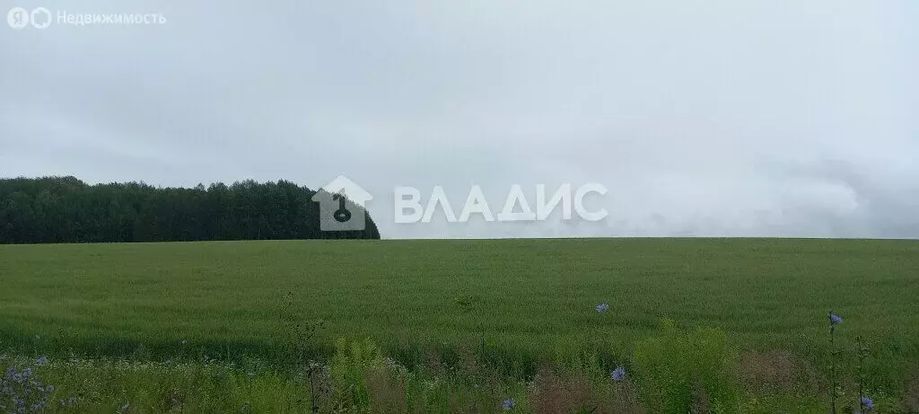 Участок в городской округ Владимир, деревня Аббакумово, Новая улица ... - Фото 1