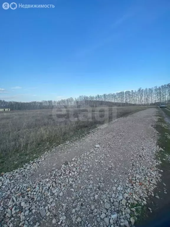 Участок в муниципальный округ Омский район, село Усть-Заостровка (9 м) - Фото 2