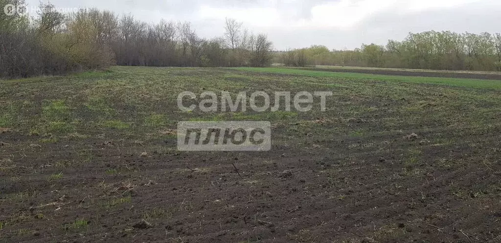 Участок в Грязи, Берёзовая улица (12 м) - Фото 2