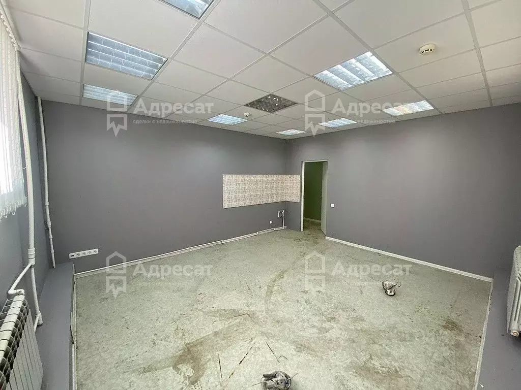 Офис в Волгоградская область, Волгоград имени Тукая ул., 11 (180 м) - Фото 2