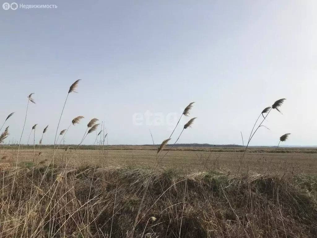 Участок в Новокубанский район, посёлок Прикубанский (280 м) - Фото 1