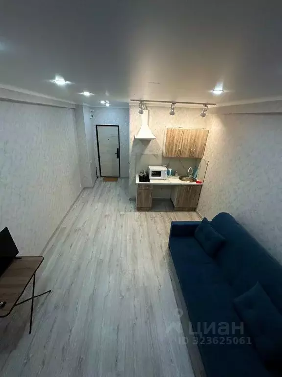 Студия Татарстан, Казань Портовая ул., 21 (21.0 м) - Фото 1