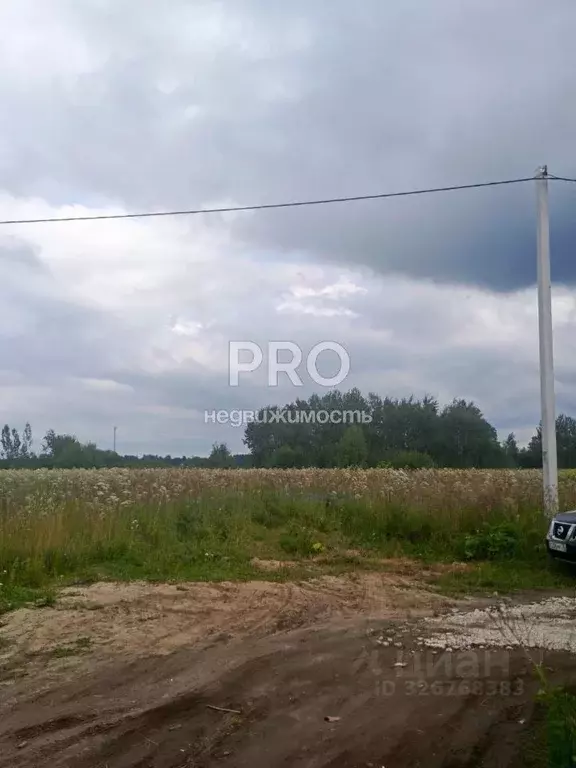 Участок в Ярославская область, Ярославский муниципальный округ, д. ... - Фото 2