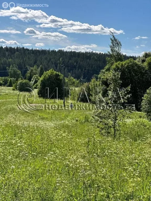 Участок в Выборгский район, Каменногорское городское поселение, ... - Фото 1