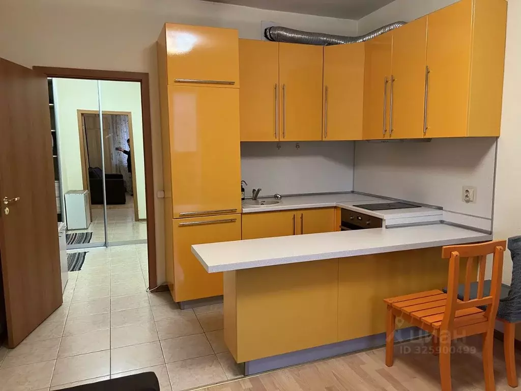 Студия Ленинградская область, Всеволожский район, д. Новое Девяткино ... - Фото 1