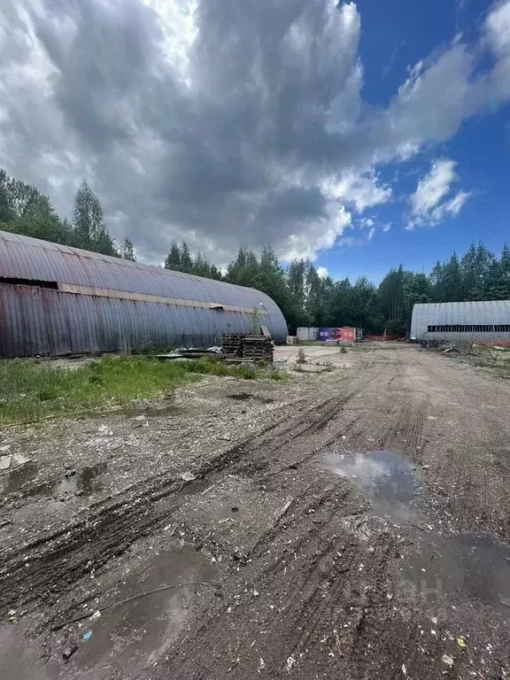 Помещение свободного назначения в Санкт-Петербург, Санкт-Петербург, ... - Фото 2