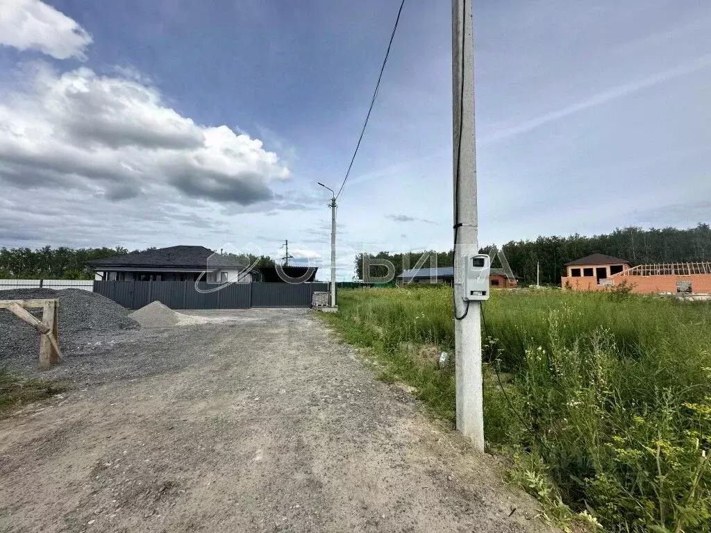 Участок в Тюменская область, Тюмень Звенящие Кедры Тюмени ДНП,  (12.0 ... - Фото 1