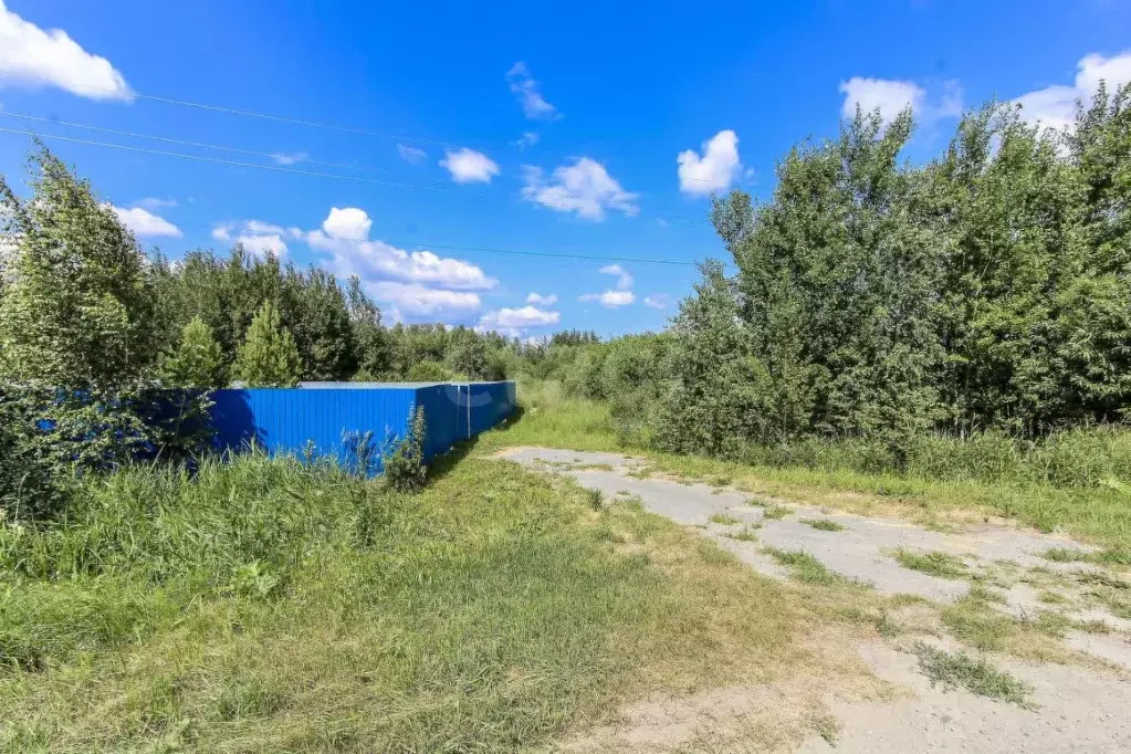 Участок в Тюменская область, Нижнетавдинский муниципальный округ, ... - Фото 1