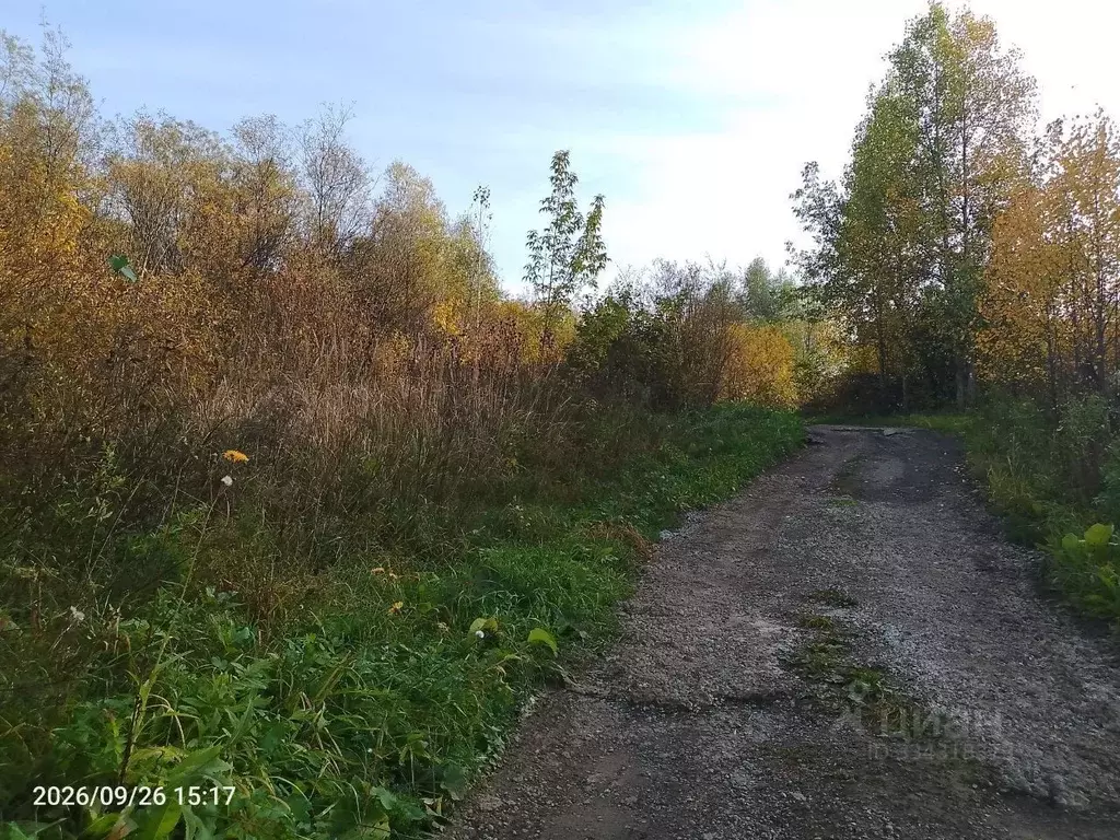 Участок в Новосибирская область, Новосибирск  (8.0 сот.) - Фото 1