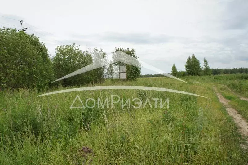 Участок в Нижегородская область, Кстовский муниципальный округ, с. ... - Фото 0