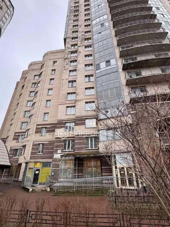 Помещение свободного назначения в Санкт-Петербург просп. Луначарского, ... - Фото 2