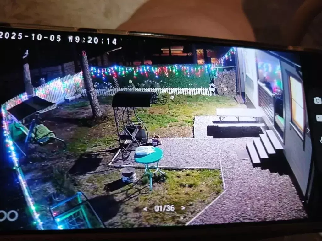 Дом в Ленинградская область, Выборгский район, Полянское с/пос, пос. ... - Фото 1