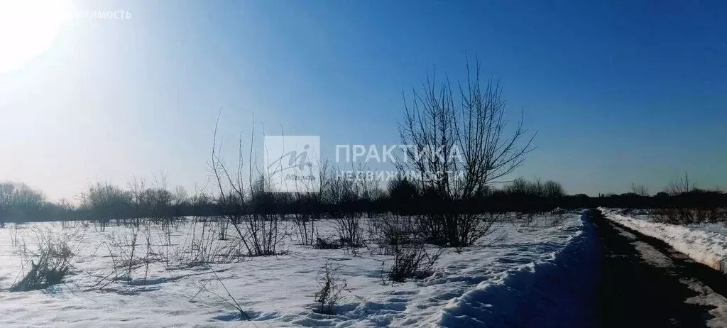 Участок в Московская область, Раменский муниципальный округ (8 м) - Фото 2