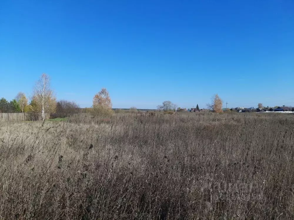 Участок в Свердловская область, Белоярский муниципальный округ, с. ... - Фото 1