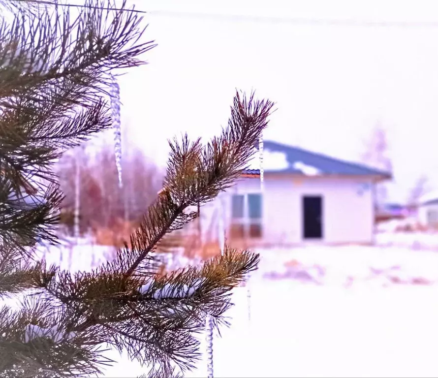 Дом в село Чигири, Дворянская улица (56 м) - Фото 2