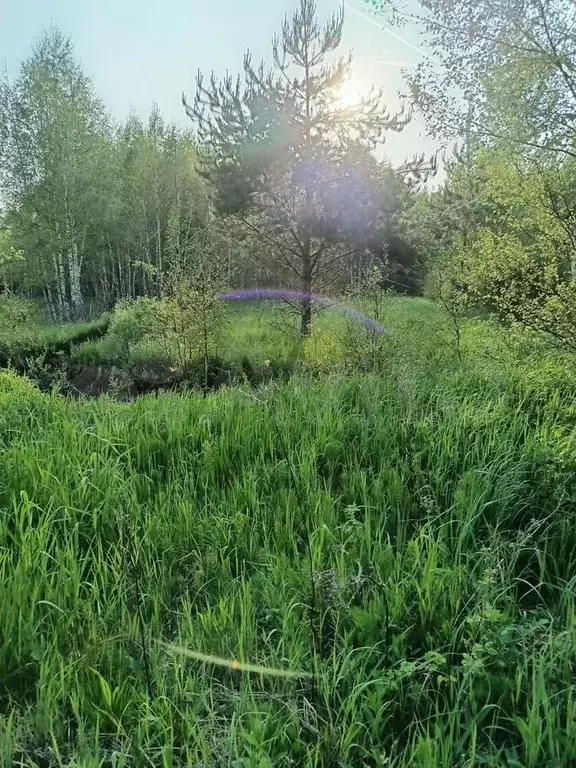 Участок 2,15 га (СНТ, ДНП) - Фото 1