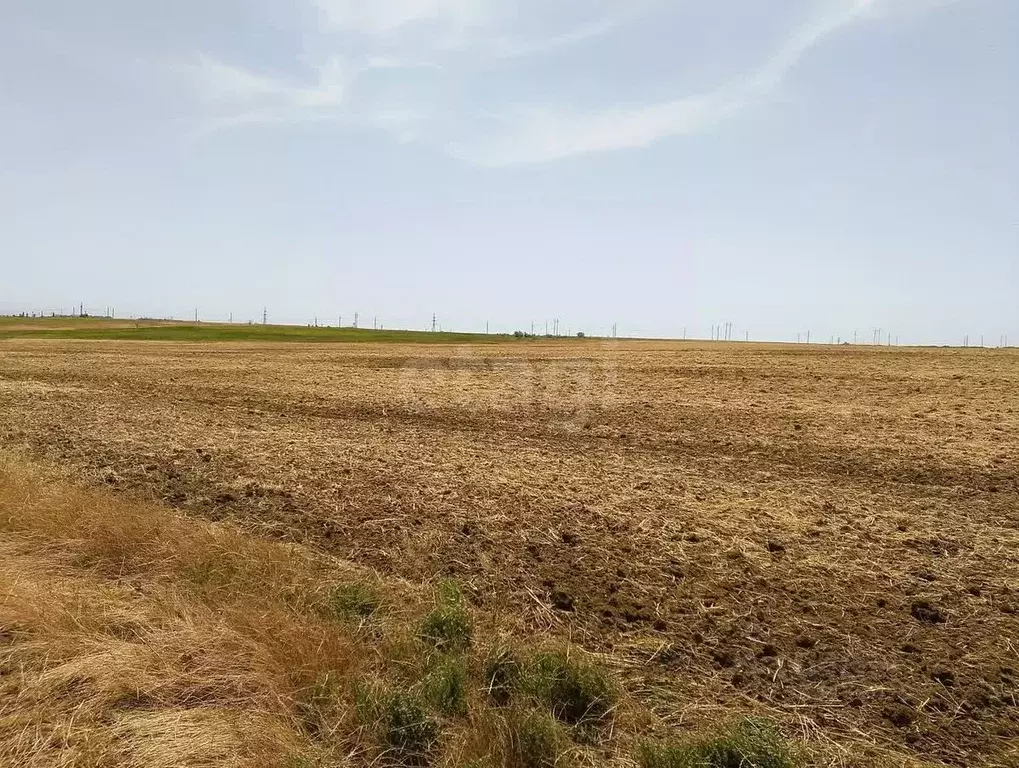 Участок в Крым, Феодосия муниципальный округ, с. Береговое ул. ... - Фото 1