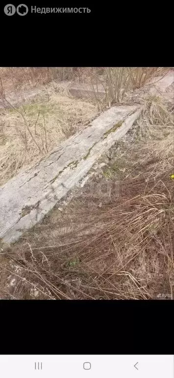 Участок в Ярославский муниципальный округ, деревня Мологино, 4-я ... - Фото 1