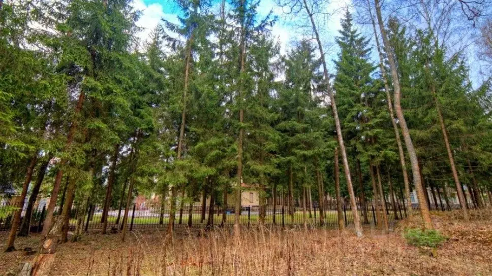 Участок в Московская область, Одинцовский городской округ, пос. ... - Фото 1