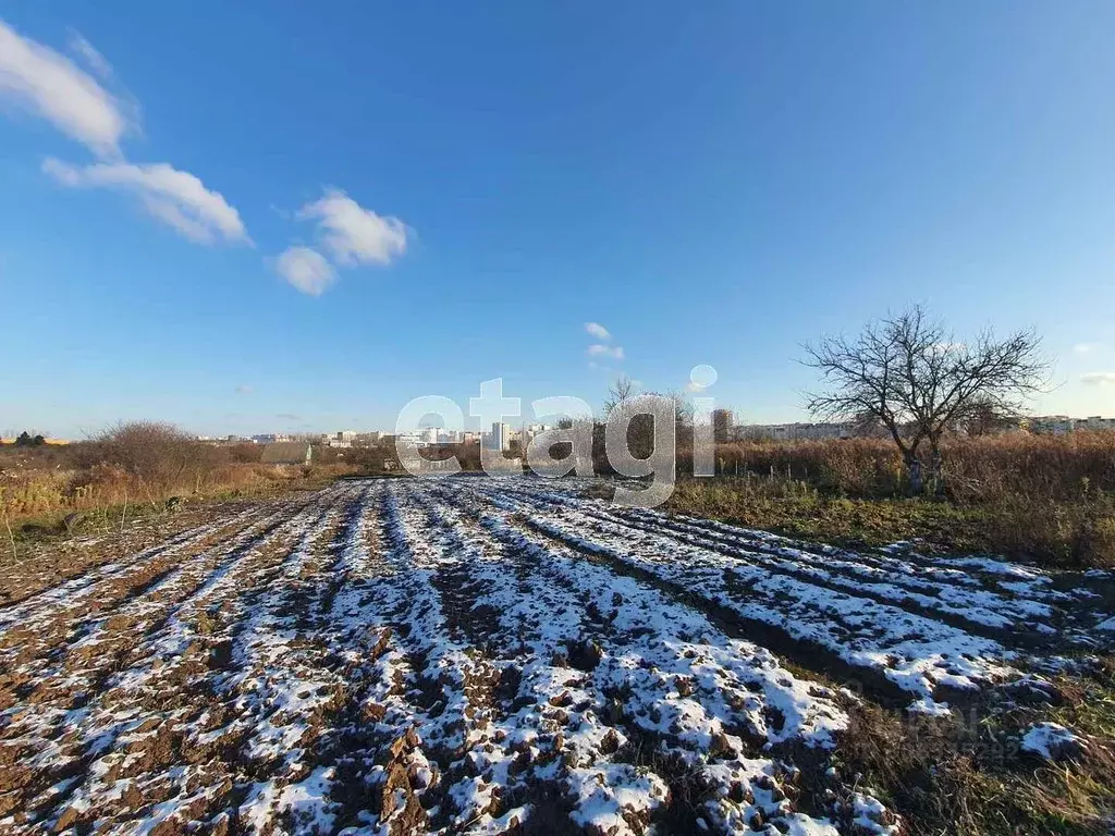 Участок в Брянская область, Брянский район, Снежское с/пос, пос. ... - Фото 2