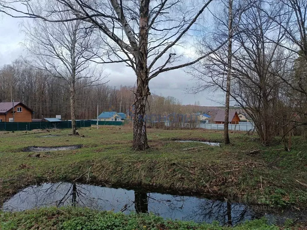 Участок в Нижегородская область, Богородский муниципальный округ, ... - Фото 2