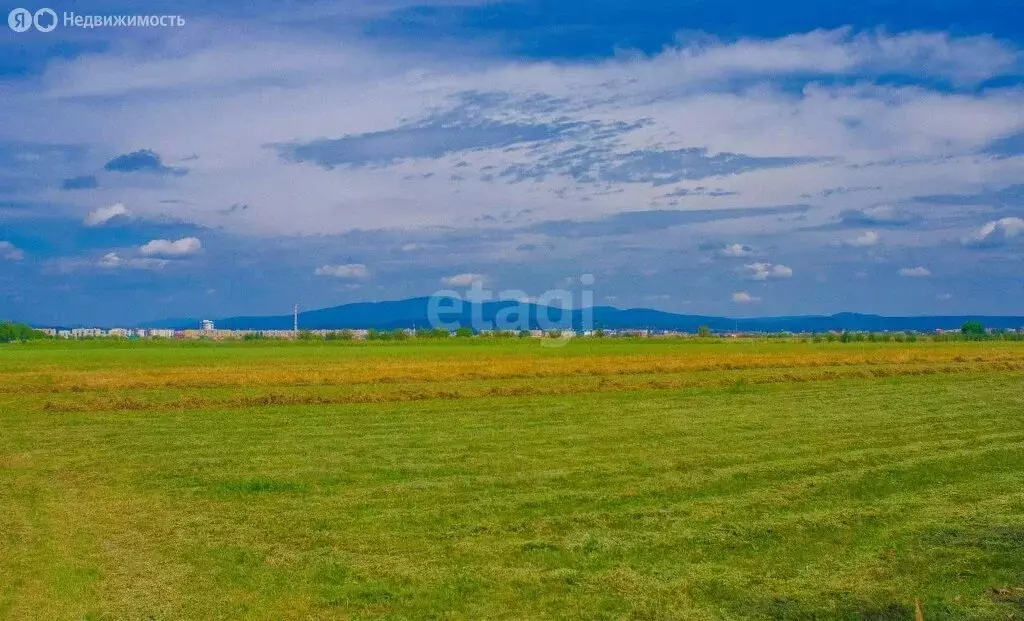 Участок в Шиховское сельское поселение, деревня Моргуновы (10 м) - Фото 0