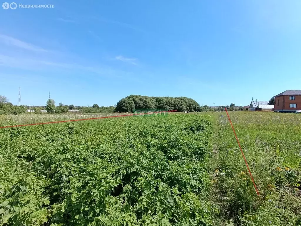 Участок в Кижеватово, улица Кавказ, 36 (19 м) - Фото 0