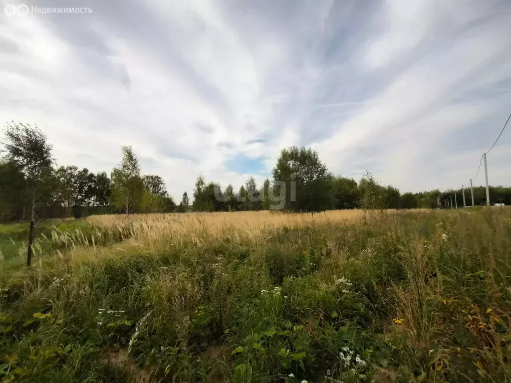 Участок в Московская область, городской округ Коломна, село Федосьино ... - Фото 0