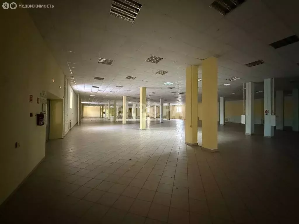 Офис (1000 м) - Фото 1