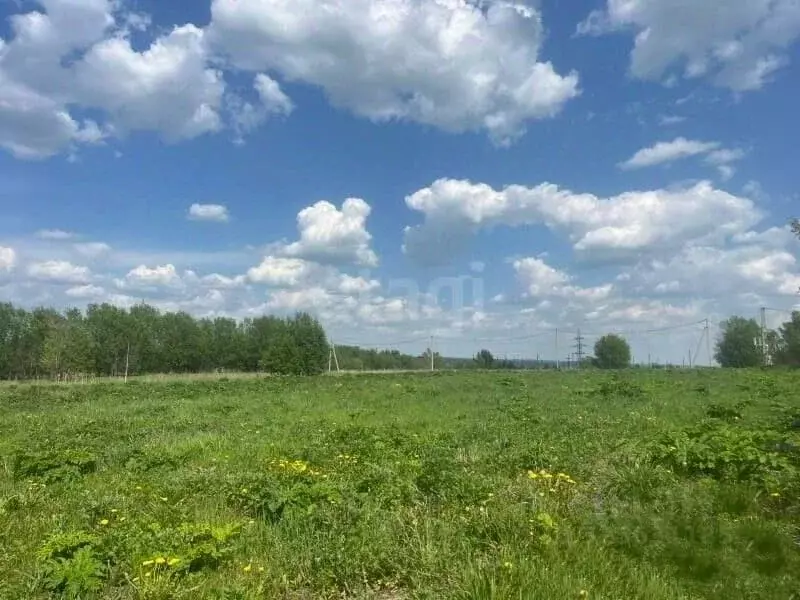 Участок в Томская область, Томский район, с. Корнилово, Зеленая ... - Фото 2