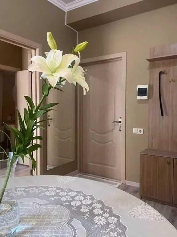 1-к кв. Краснодарский край, Анапа Кордонный пер., 4 (28.0 м) - Фото 2