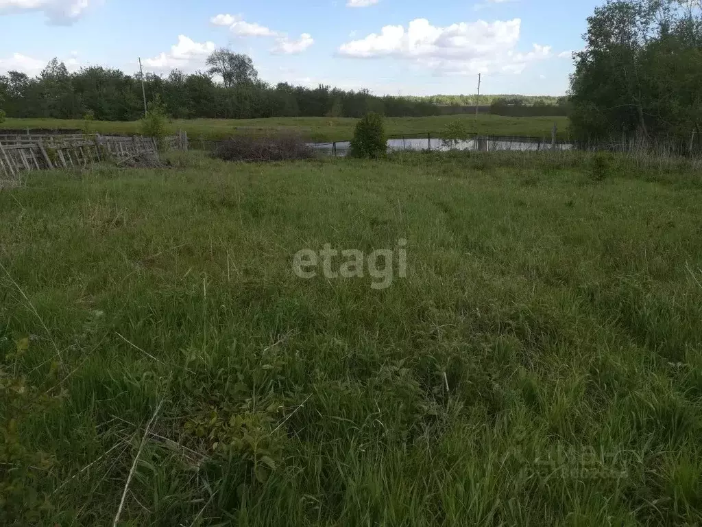 Дом в Башкортостан, Кармаскалинский район, Бузовьязовский сельсовет, ... - Фото 1