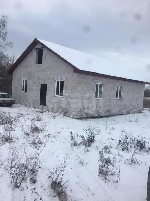 Дом в Липецкая область, Добровский муниципальный округ, с. Большой ... - Фото 1