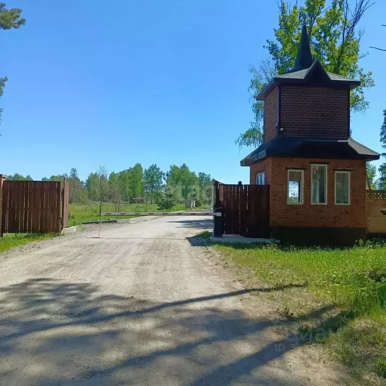 Участок в Ульяновская область, Тереньгульский район, Красноборское ... - Фото 1