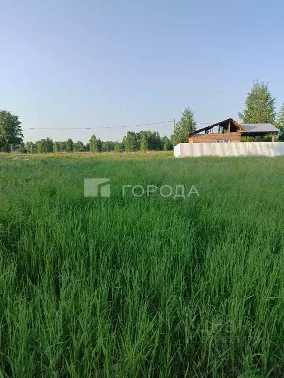 Участок в Новосибирская область, Новосибирский район, Верх-Тулинский ... - Фото 0