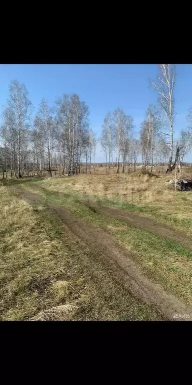 Участок 15 сот. (ИЖС) - Фото 0