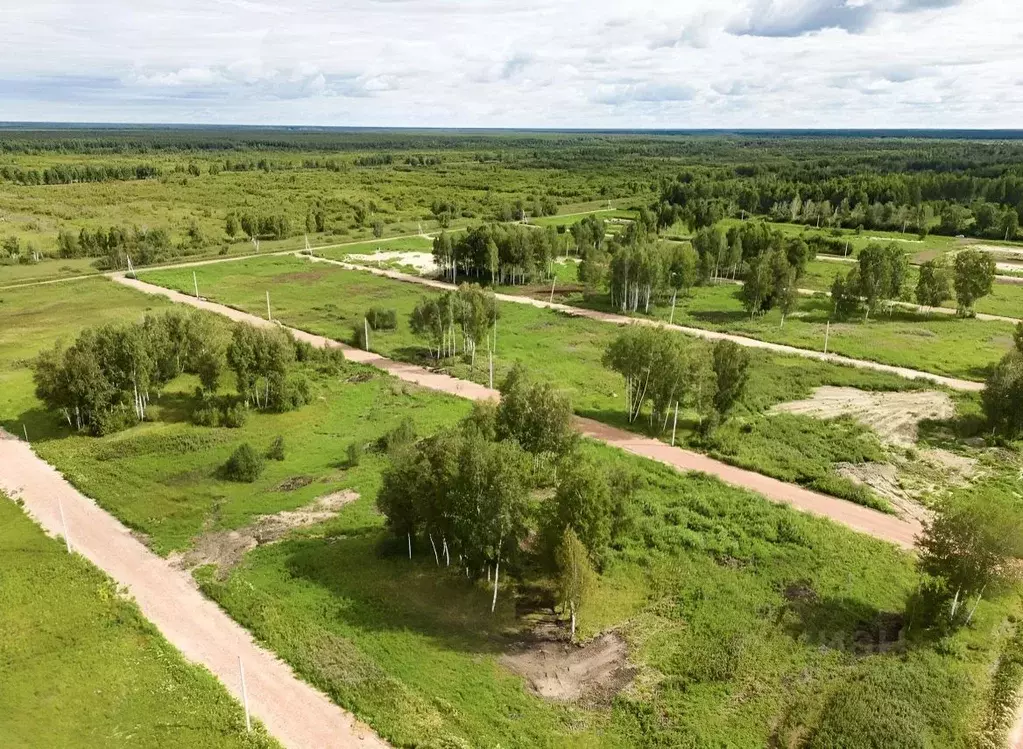 Участок в Тюменская область, Нижнетавдинский район, Строитель ТСН  ... - Фото 1