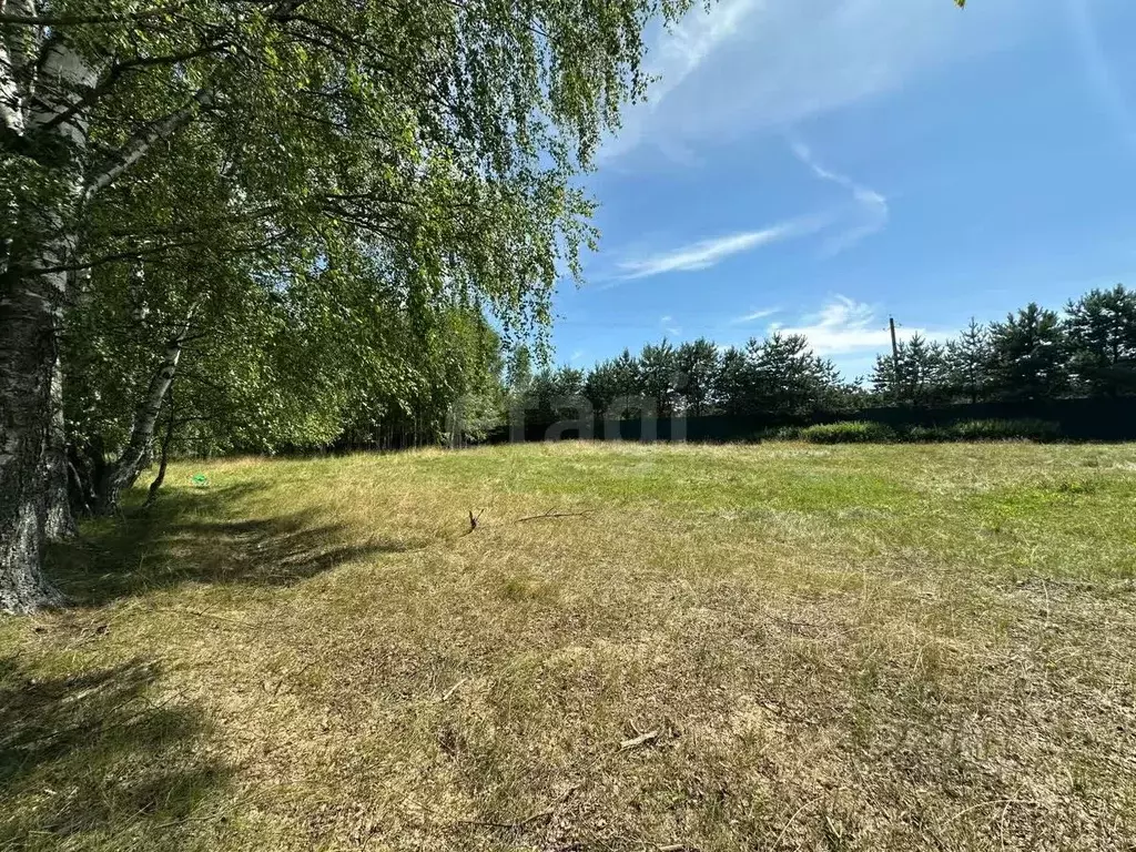 Участок в Ярославская область, Брейтовский муниципальный округ, ... - Фото 1