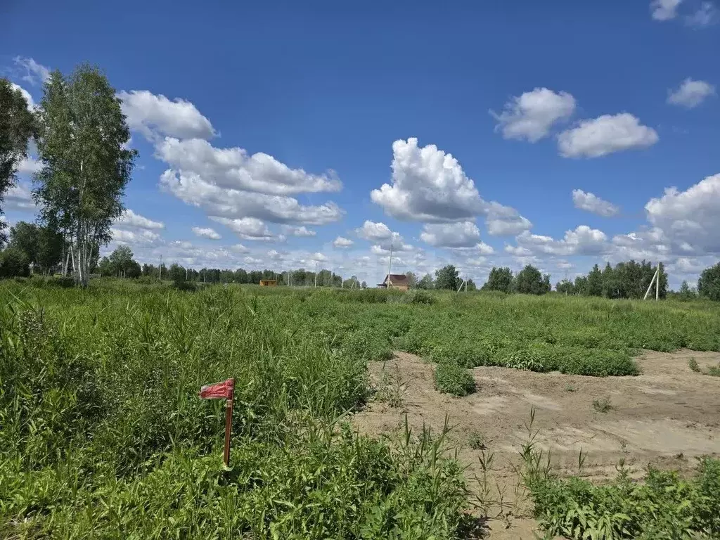 Участок в Тюменская область, Нижнетавдинский муниципальный округ, ... - Фото 1