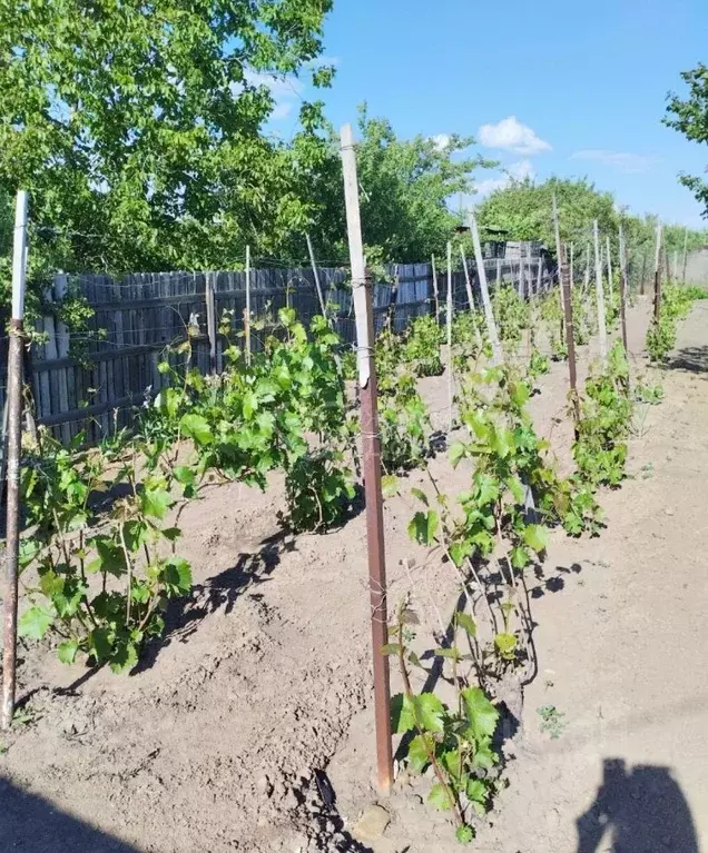 Участок в Волгоградская область, Волжский Здоровье Химика СНТ, ул. ... - Фото 1